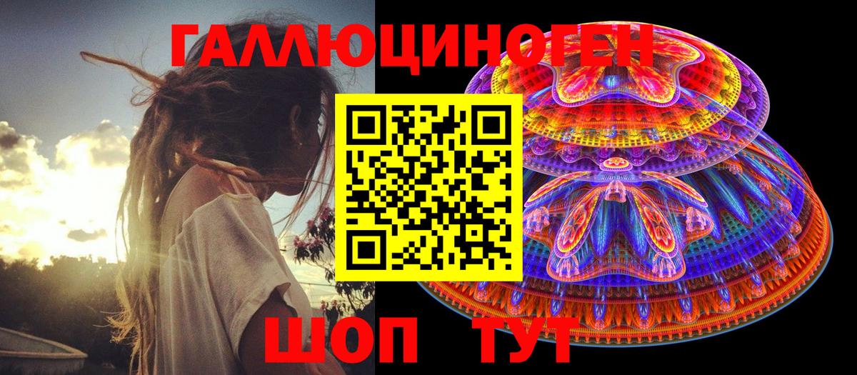 Камышин  Псилоцибиновые грибы мухоморы  Вход с VPN 
